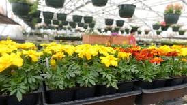 ‘Learn, Grow, Share’ Garden Planting Day set May 17 in Henry 