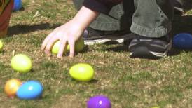 Easter egg hunt Saturday at Pine Creek Escape in Mt. Morris