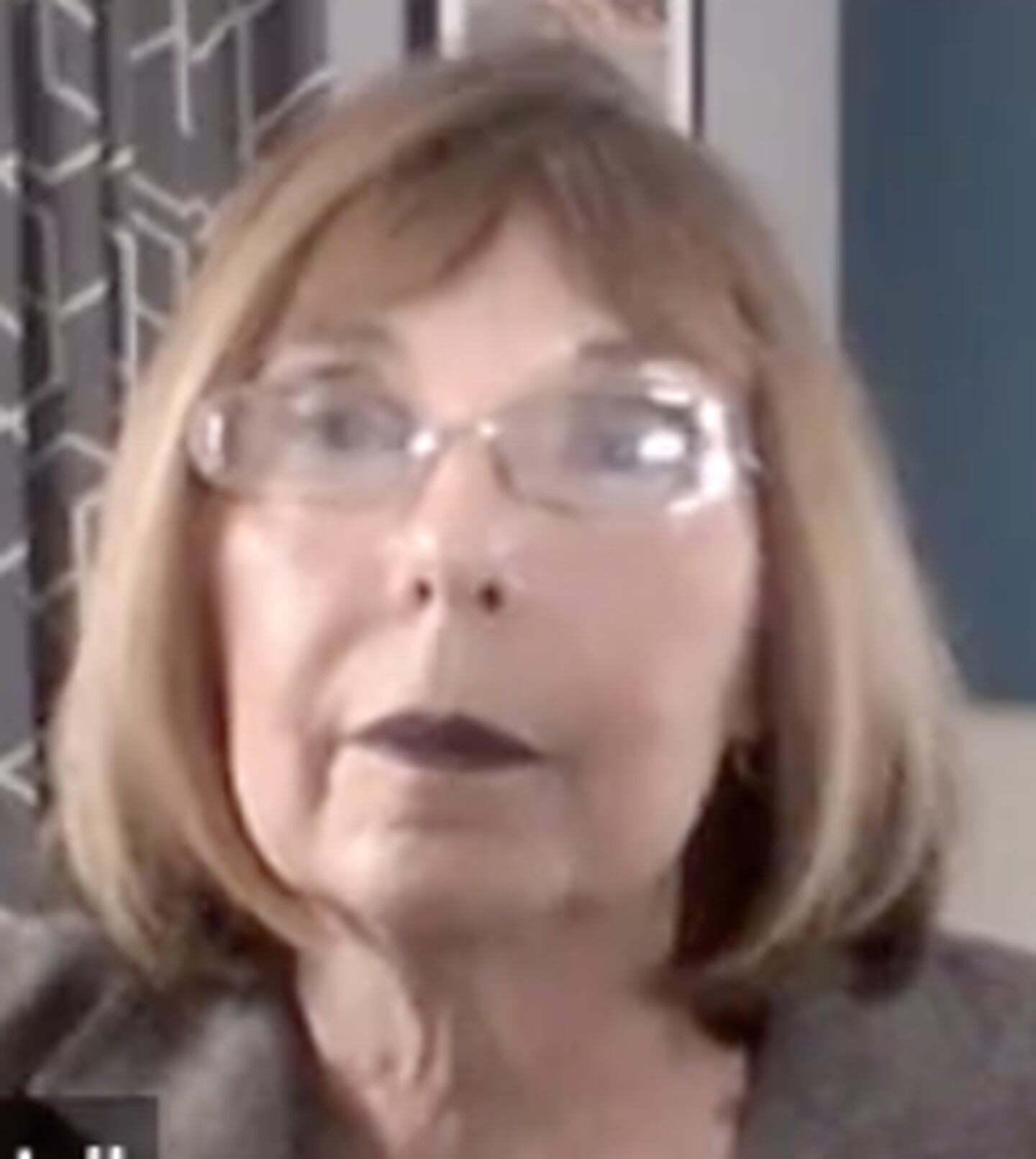 Republican Susan Lindell is running to represent District 10 on the DeKalb County Board in the Nov. 8 General Election. Lindell participated in a virtual candidate forum Thursday, Oct. 13, 2022 hosted by the DeKalb County League of Women Voters, WNIJ and the DeKalb Public Library. (Screenshot by Shaw Local News Network)