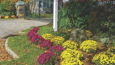 Extend fall gardening plans with Illinois Extension Four Seasons webinars
