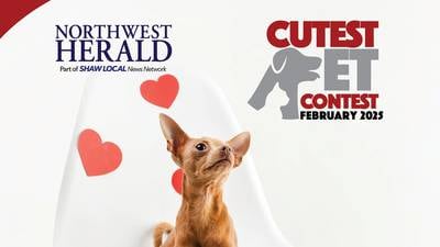 McHenry County's February Cutest Pet Contest