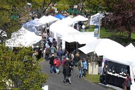 Art in Wilder Park returns to Elmhurst in May