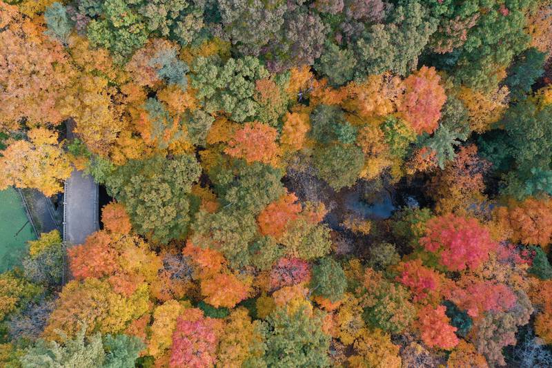 Fall colors begin to peak at Matthiessen State Park on Monday, Oct. 23, 2023.