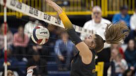 Photos: Sterling vs Freeport Class 3A volleyball