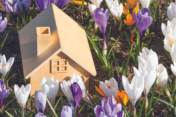 Be a neighborhood trendsetter and lead by example in the new year