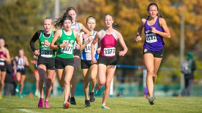 Photos: IHSA Class 2A Cross Country Sectional at Lakes