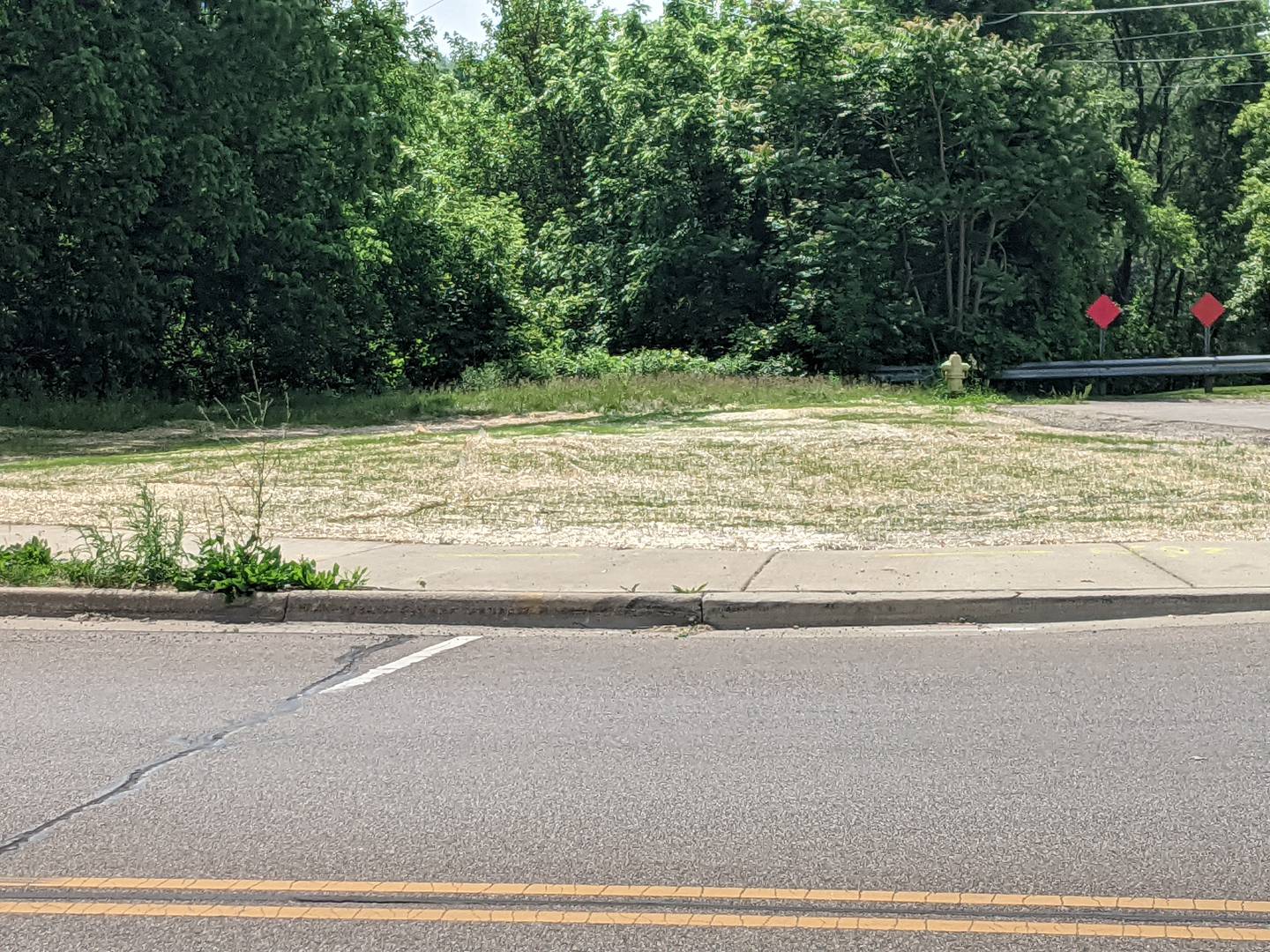 The property is adjacent to property at 109 and 111 North River St. the Library Board purchased in May 2023 for $330,000. 

The library district has demolished the buildings that were located on that property.