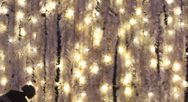 Voters will choose the best home holiday decorations in Lake in the Hills.