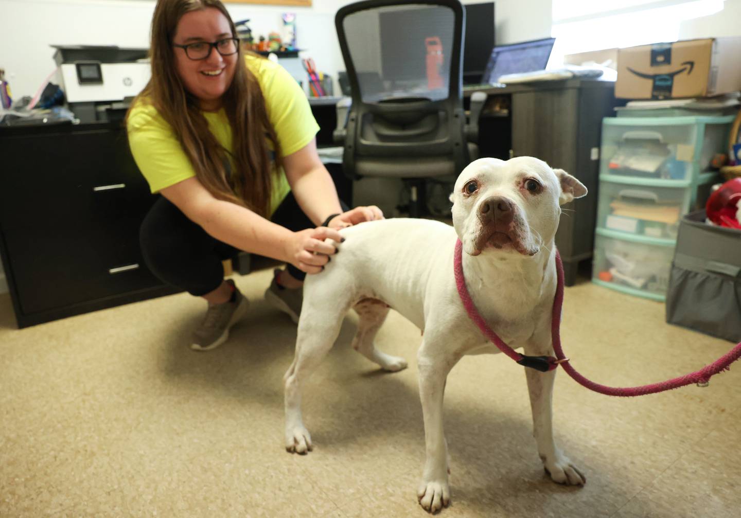 Kankakee County Humane Foundation director Kara Muhlstadt pets adoptable dog, Bella, who has been at the shelter for two years as part of a bonded pair with her fur-sibling, Beefy, on Sept. 23, 2025. Local shelters are at capacity and in desperate need of volunteers and donations as they adapt to an increased minimum wage.
