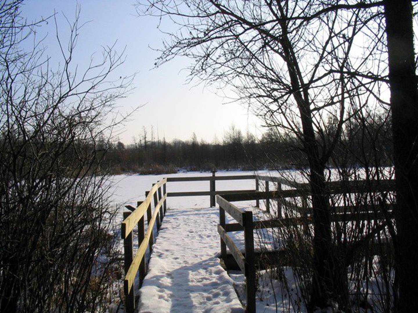 The Eye of Volo Bog during the winter of 2013 photographed by Stacy Iwanicki.