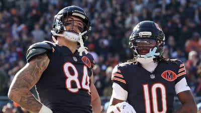 2025 Chicago Bears position review: Tight ends