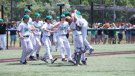 Photos: York vs. Batavia in Class 4A baseball sectional final