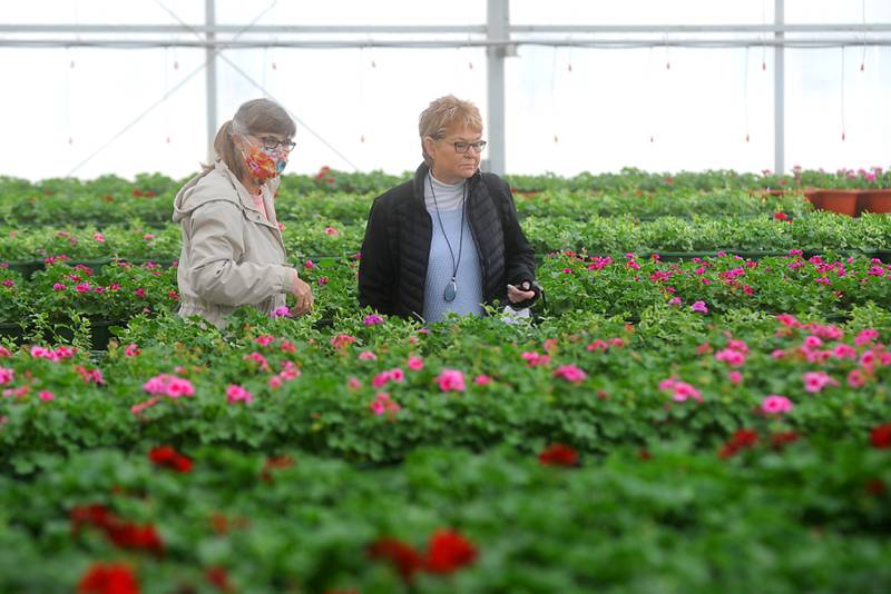 Susan Springston and Jill Pristavec, both of Huntley, look at plants growing Wednesday, March 23, 2022, at Tom's Farm Market, a family-owned business in Huntley. The market, which just opened for the season, also features a gift shop, full-service bakery, coffee bar and lunch cafe.