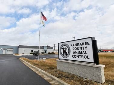 State Rep. Jackie Haas, Animal Control to host pet adoption event 