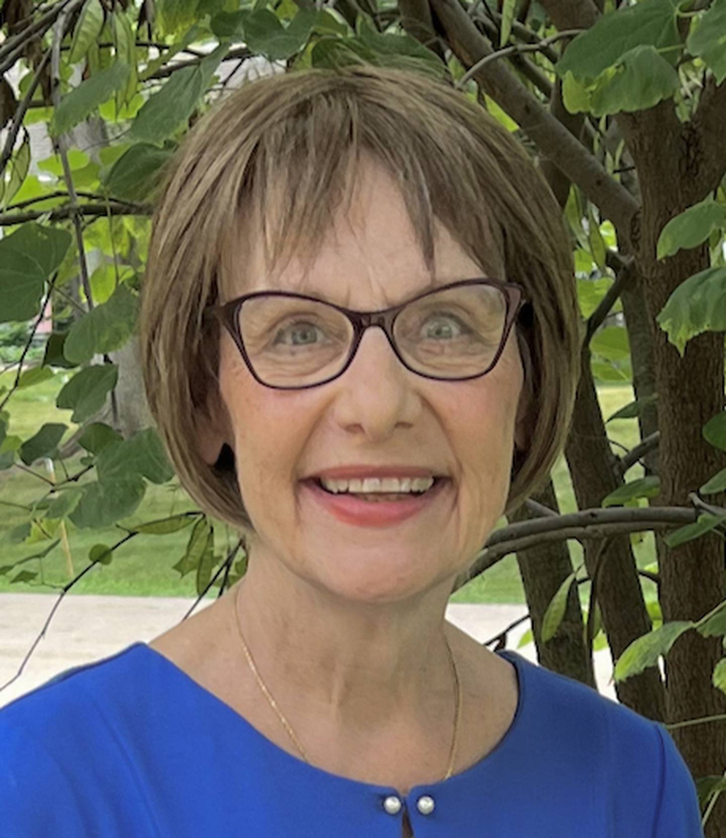 Linda Robertson is a St. Charles Democrat who filed nominating papers to run against incumbent Daniel Ugaste, R-Geneva, to represent the state’s 65th District.