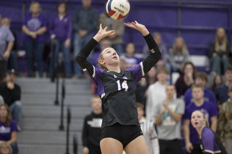 Dixon’s Leah Carlson sets the ball against Morris Thursday, Oct. 31, 2024 in the class 3A regional championship at Dixon High School.
