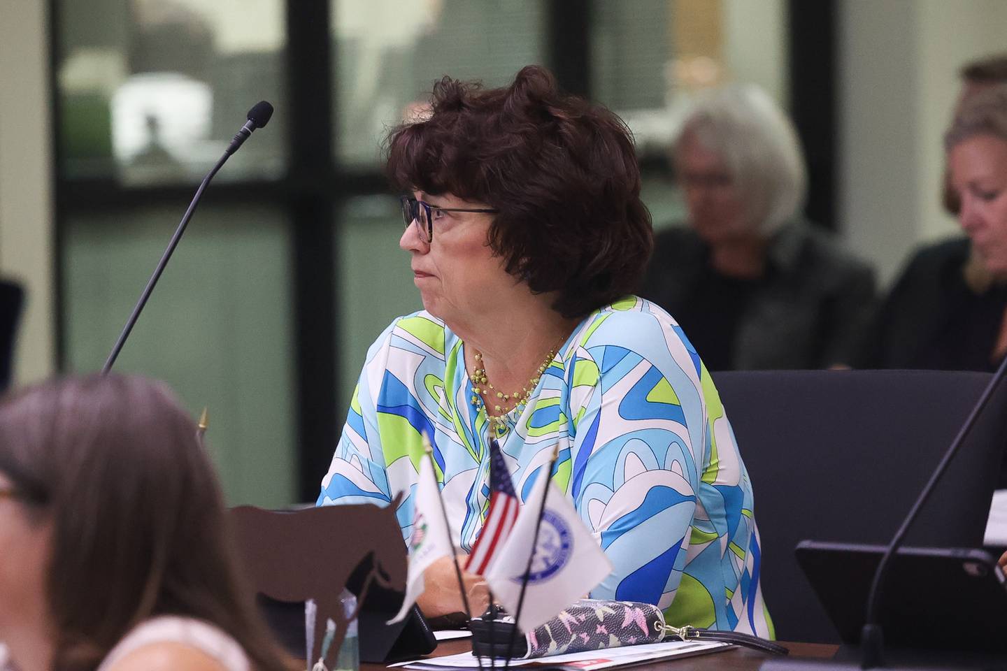 Will County Democratic Leader Jackie Traynere attends Will County’s August board meeting on Thursday, August 15, 2024 in Joliet.