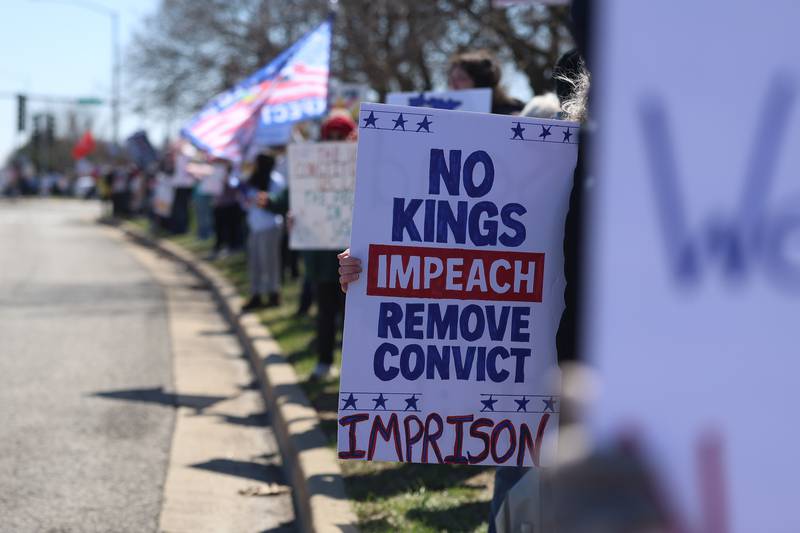 Hundreds of people line Plainfield Road at the No Kings rally on Saturday, March 28, 2026 in Joliet.