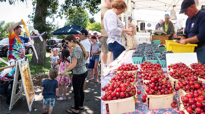 The Dole Farmers Market - Farmer's Market+ At The Dole…Is Back Every Sunday
