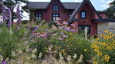 Go green and save big on bills