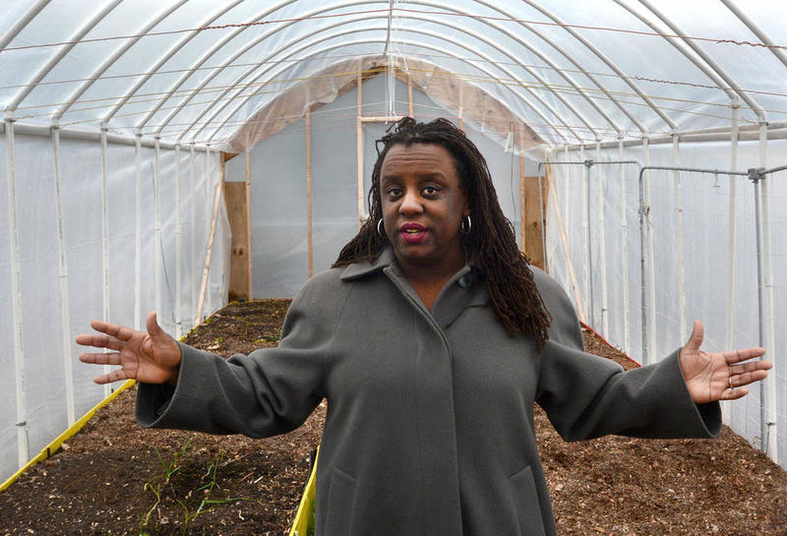 Elmhurst Zoning and Planning Commission extends hoop house