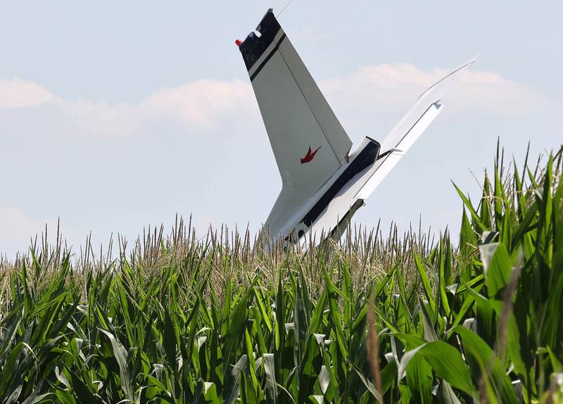 The tail of a plane sticks out above the corn after a crash Thursday, July 27, 2023, behind a business at 260 West Lincoln Highway in Cortland.