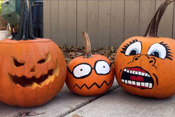 Will County forest preserves holding Pumpkin Smash events