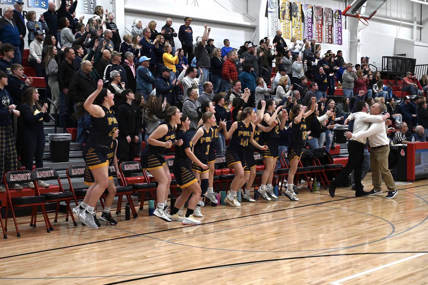 The Polo bench and fans celebrate the Marcos' regional championship victory Friday night in Amboy.