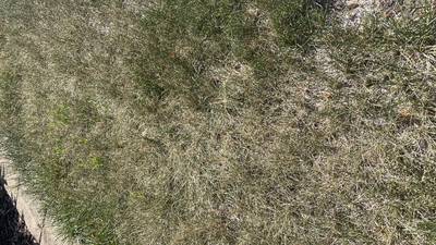 Moderate drought conditions exist for much of northern Illinois 