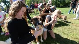 Photos: Downers Grove Park District hosts second Dog Daze 