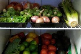 Plano church holding free food pantry