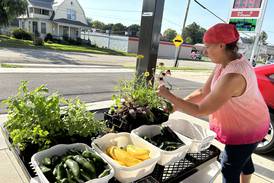 Farmers market in Polo offers fresh veggies, meat and more