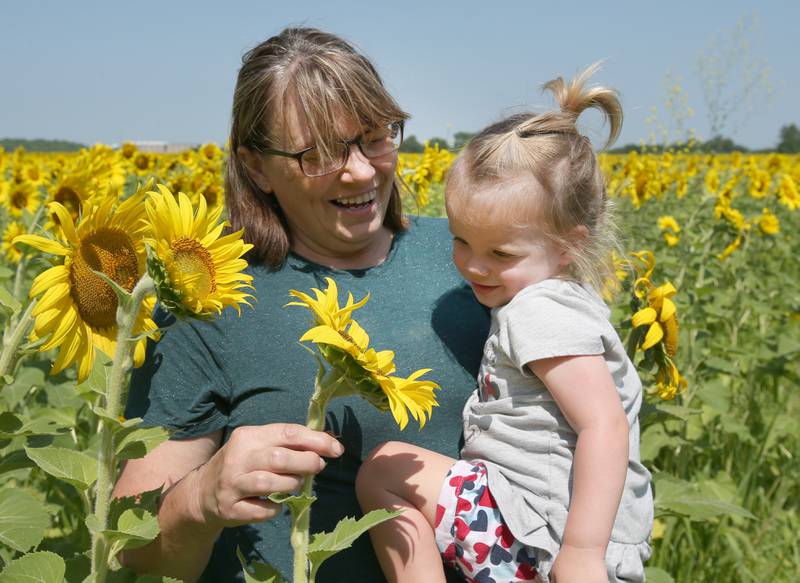 Ninna Kaniewski and her granddaughter Nell of Peru, enjoy visiting with the sunflower field on Tuesday, July 11, 2023 at Matthiessen State Park.