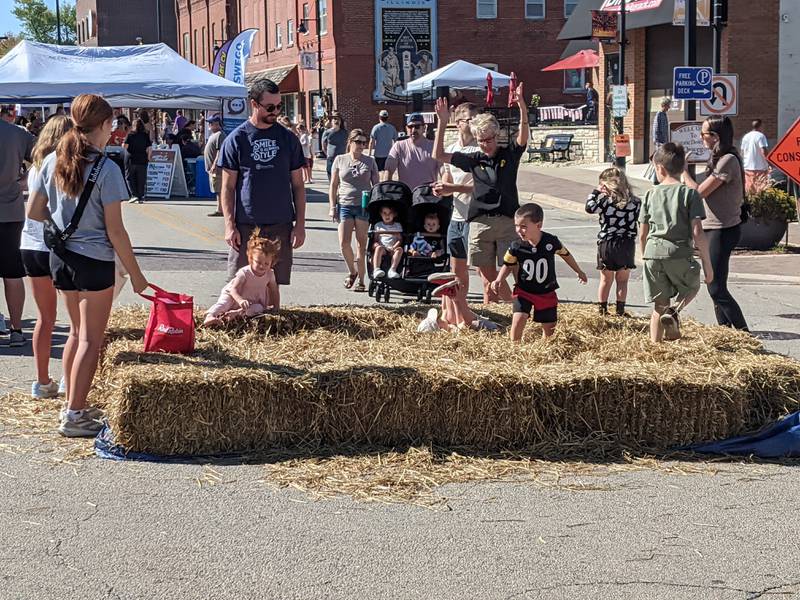 Families enjoy the Fox Fall Fest in downtown Oswego on Oct. 5. The festival was organized by the Oswego Chamber of Commerce and Oswego Downtown Association.