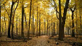 Will County Forest Preserve District cuts tax rate by 27%