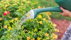 Down the Garden Path: Guest columnist series--Smart watering methods effectively save time