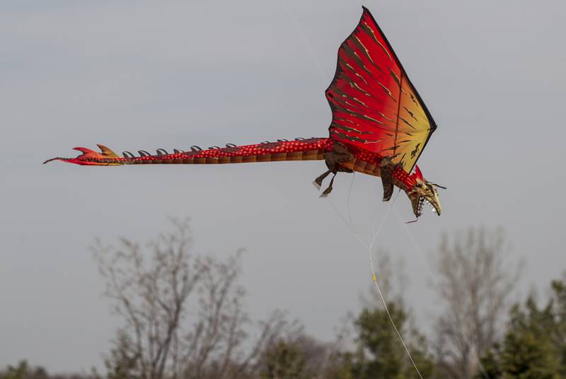 A dragon kite flies above the trees Saturday, April 19, 2014, at Lions Park in Cary.
