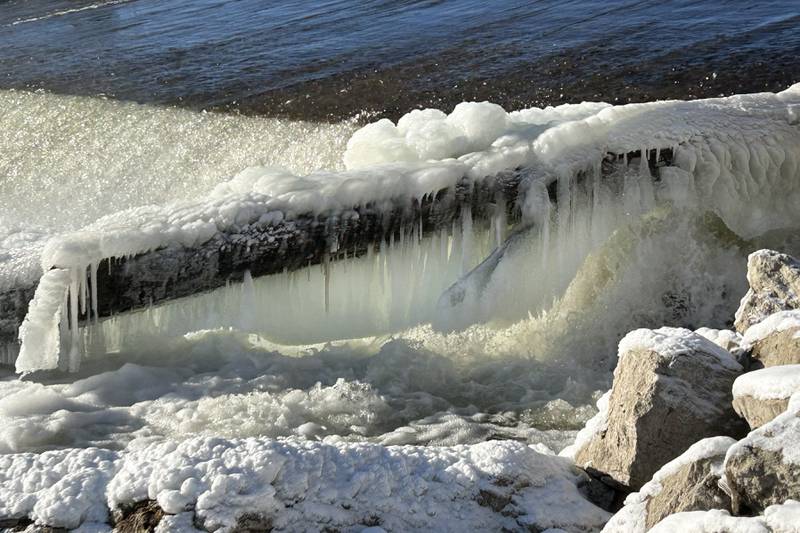 Winter has returned to the Oregon area with icicles clinging to a tree trunk stuck on the Oregon dam on Tuesday, Jan. 14, 2025. The cold temperatures are forecast to last through the week.