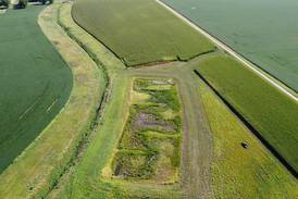 Conservation district seeks board nominees