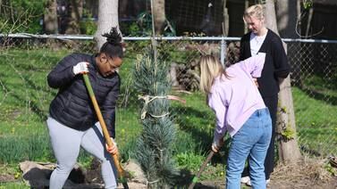 ‘250 trees for tomorrow:’ DeKalb community tree planting marks nation’s anniversary