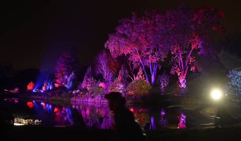 Lights reflect off a lake as people take in the scene at Christmas at Cantigny Wednesday in Wheaton.