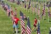 ‘A sight to behold’: 2,025 flags fly in Wheaton’s Field of Honor