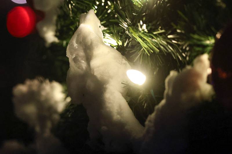 Snow collects on a Christmas tree at Plainfield’s holiday kickoff Grinchmas on the Green on Saturday, Dec. 5, 2025 in Plainfield.