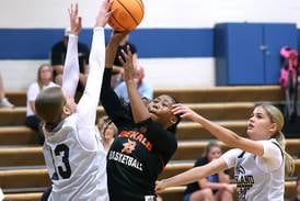 Growth, efficiency focus of DeKalb during summer activities 