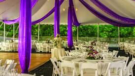 Choosing wedding color palettes