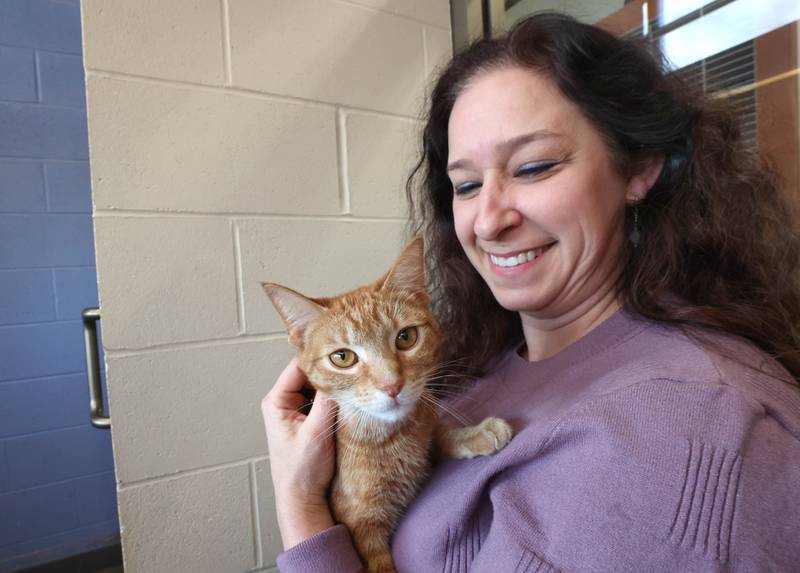 Michelle Groeper, executive director at Tails Humane Society, with one of the cats available to be adopted, Wednesday, Feb. 11, 2026, at the shelter in DeKalb. Tails was presented with the Nonprofit Organization of the Year award by the DeKalb Chamber of Commerce.