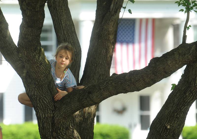 Photos Oswego marks Memorial Day with solemn parade, service Shaw Local