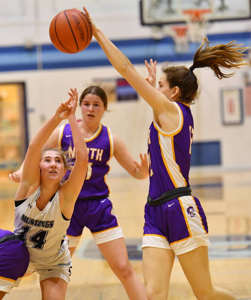 Photos: Downers Grove South vs Downers Grove North Girls Basketball