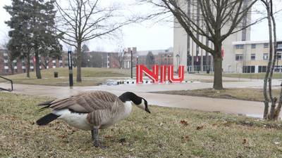 NIU announces Spring 2021 plan: no in-person 2020 graduations, no spring break, hybrid classes