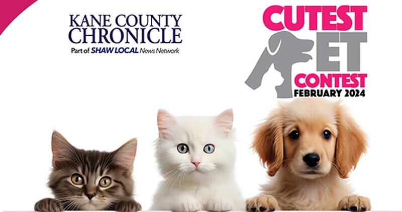 KCC Feb cute pet promo